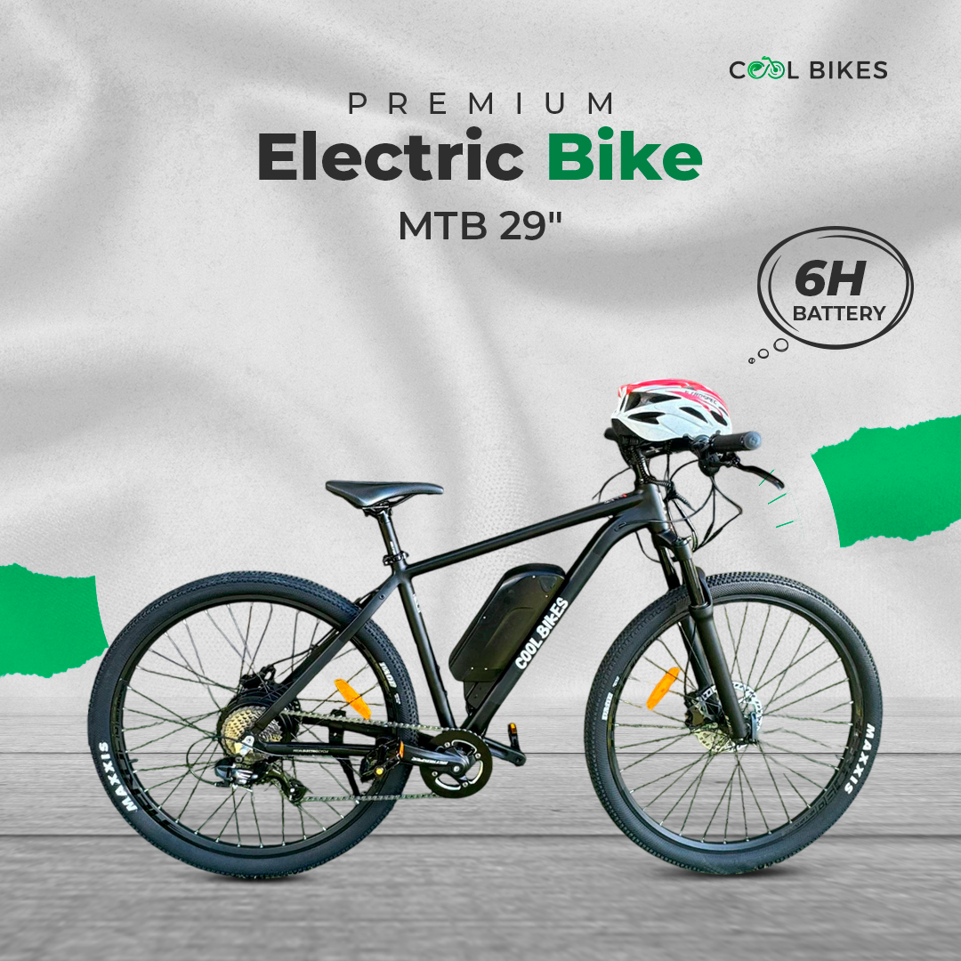 Premium Electric Bike